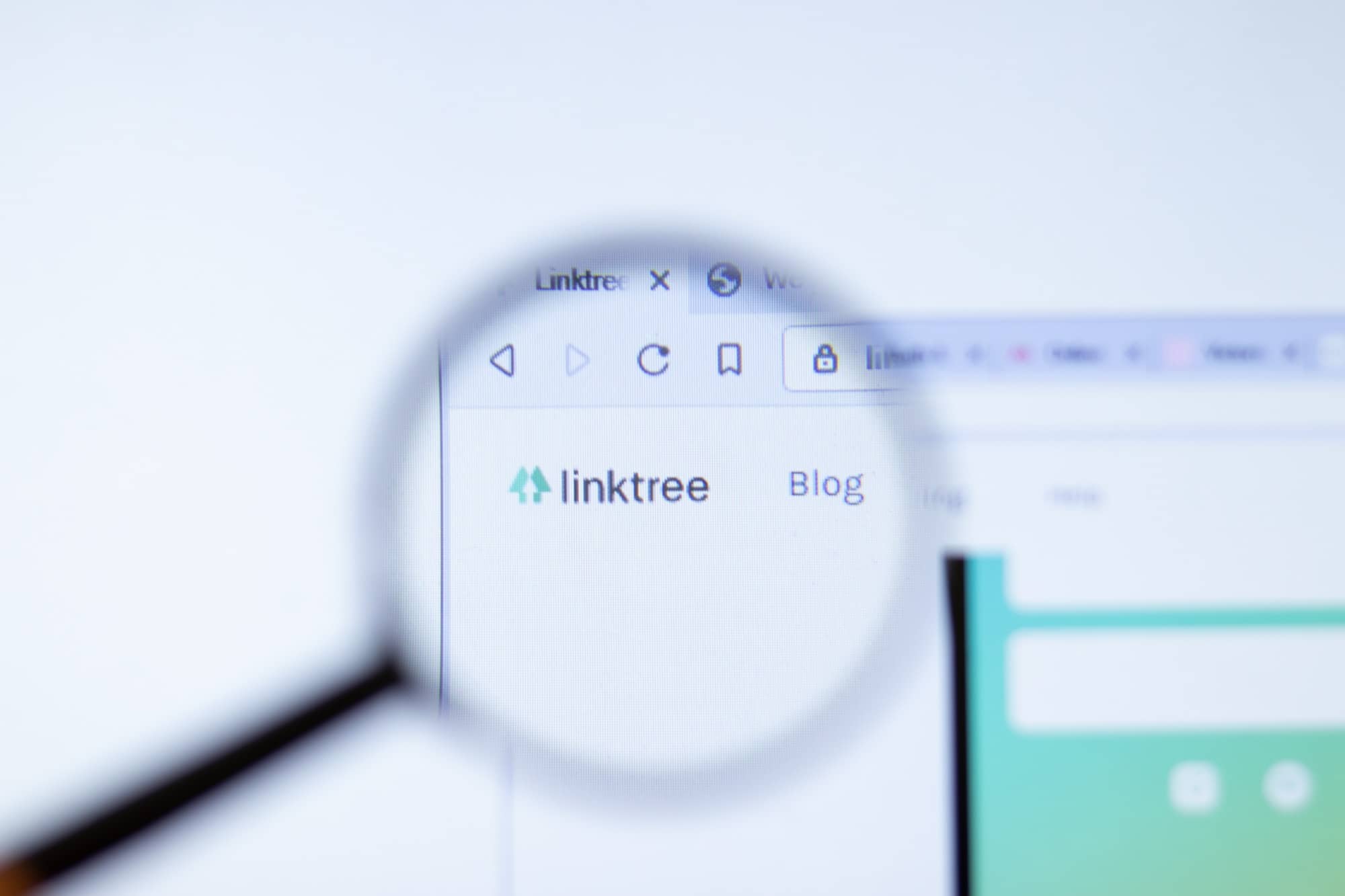 Why having a Linktree means you need a better website?
